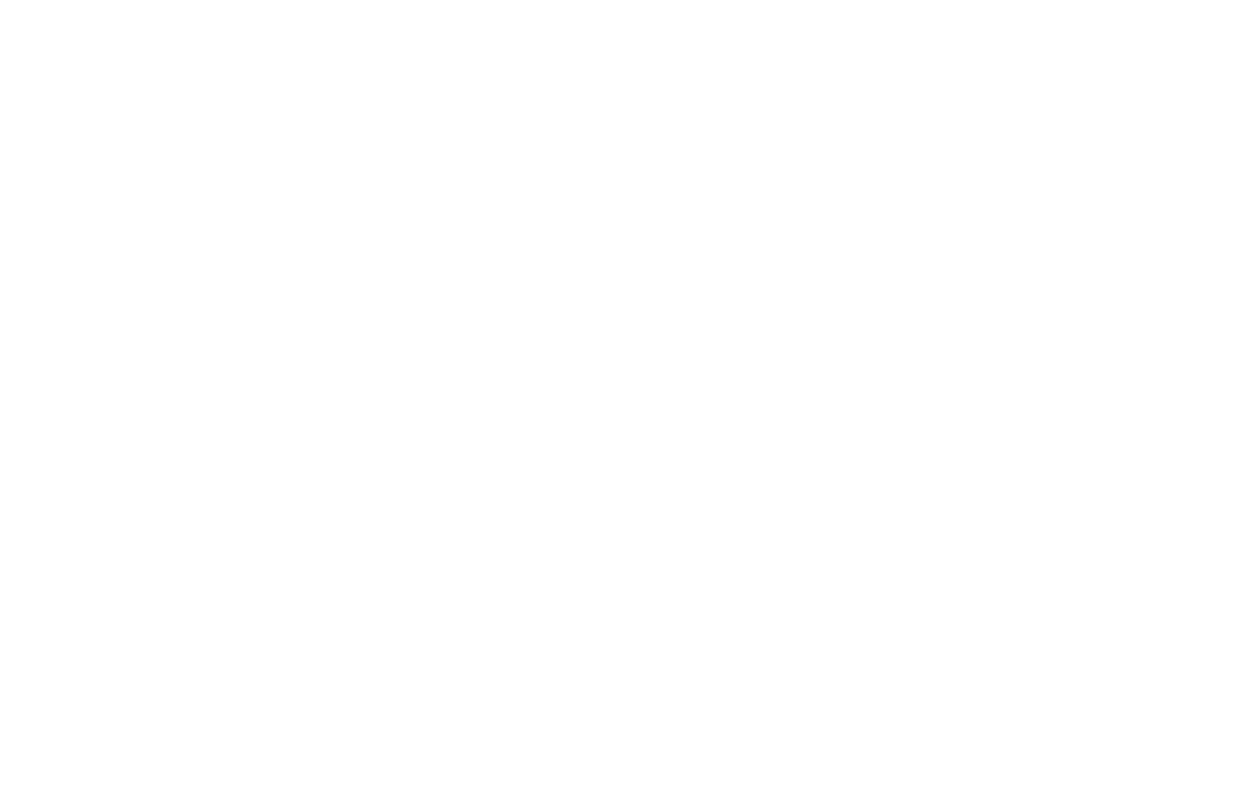 AFOQT Wingman Logo
